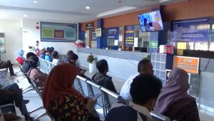 Jadwal Pemutihan Pajak Kendaraan di Sulawesi Tenggara
