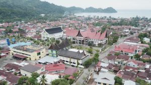 Cara Cek Pajak Kendaraan di Kabupaten Pesisir Selatan Terbaru