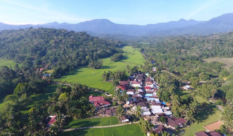 Cara Cek Pajak Kendaraan di Kabupaten Solok Selatan Terbaru